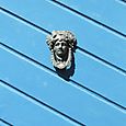 La porte bleue