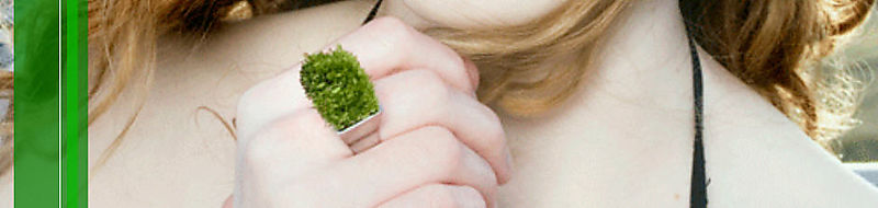 Bague_jardin