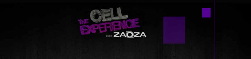 Cell_experience