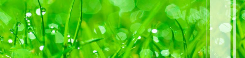 Greenok