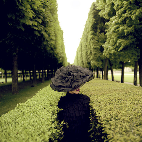 Rodney_smith_adbc64de0e3f721cac98025a348f877b507f300a_m