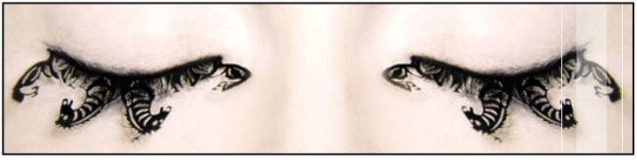 Eyes