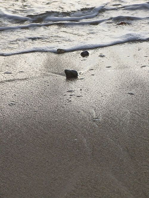 Sur le sable